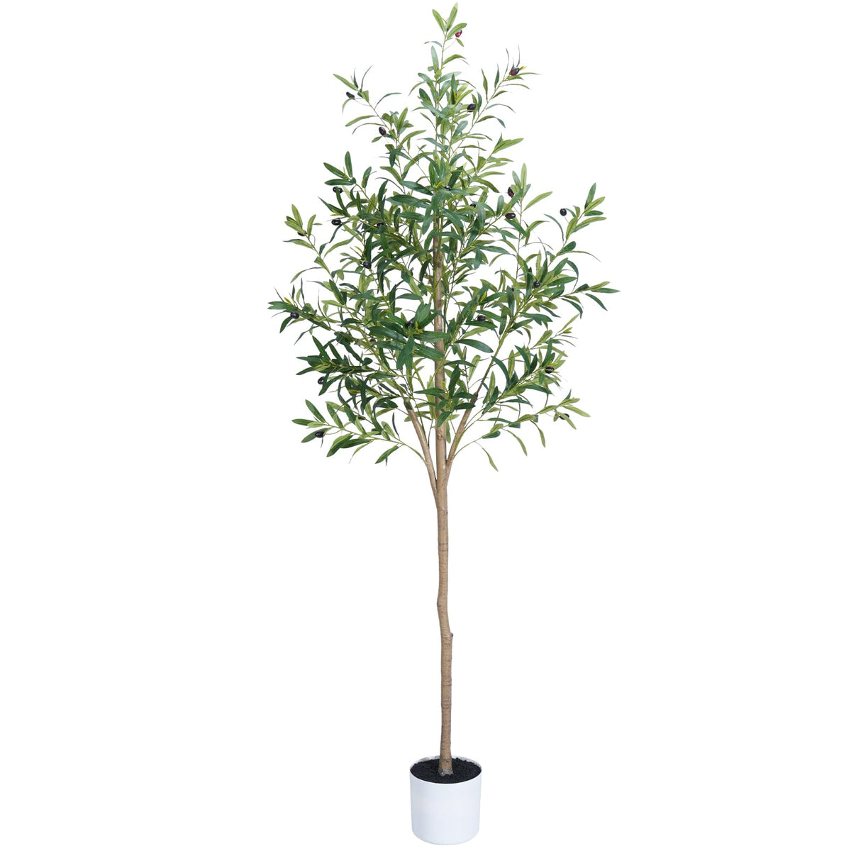 Sillaff Olive Tree 6ft with pot shows realistic leaves and branches for living room decor.