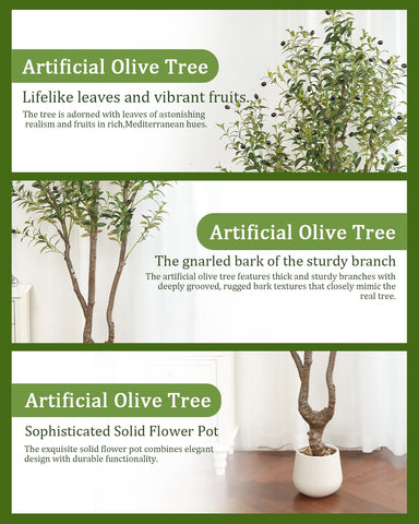 Sillaff olive tree assembly steps in minutes for easy setup