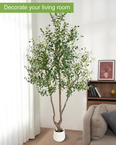 Close-up of Sillaff olive tree leaves and olives showing realistic texture