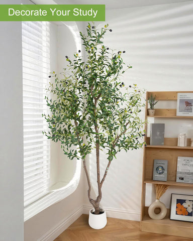 Dust-wipe maintenance keeps the Sillaff tree fresh and vibrant