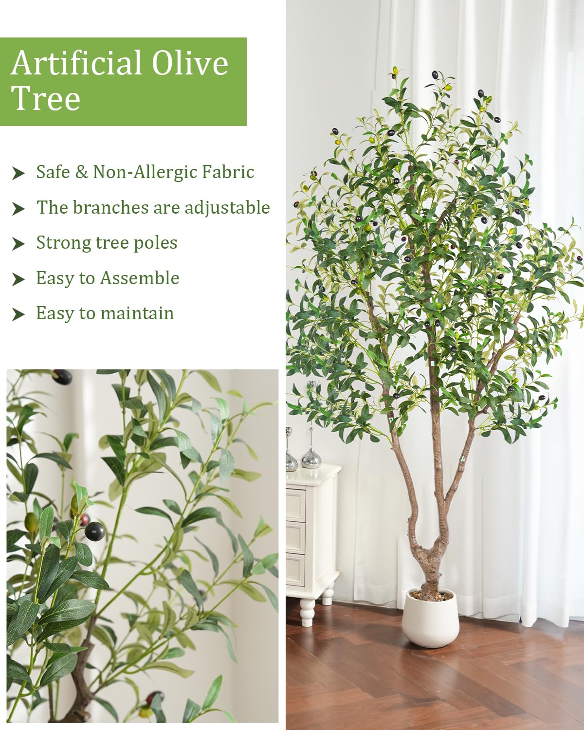 Sillaff olive tree in an office setup with greenery and calm vibe