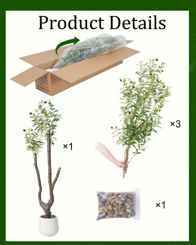 Sillaff olive tree in pot on a modern shelf setup