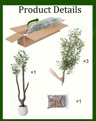 Sillaff olive tree pot base providing sturdy display