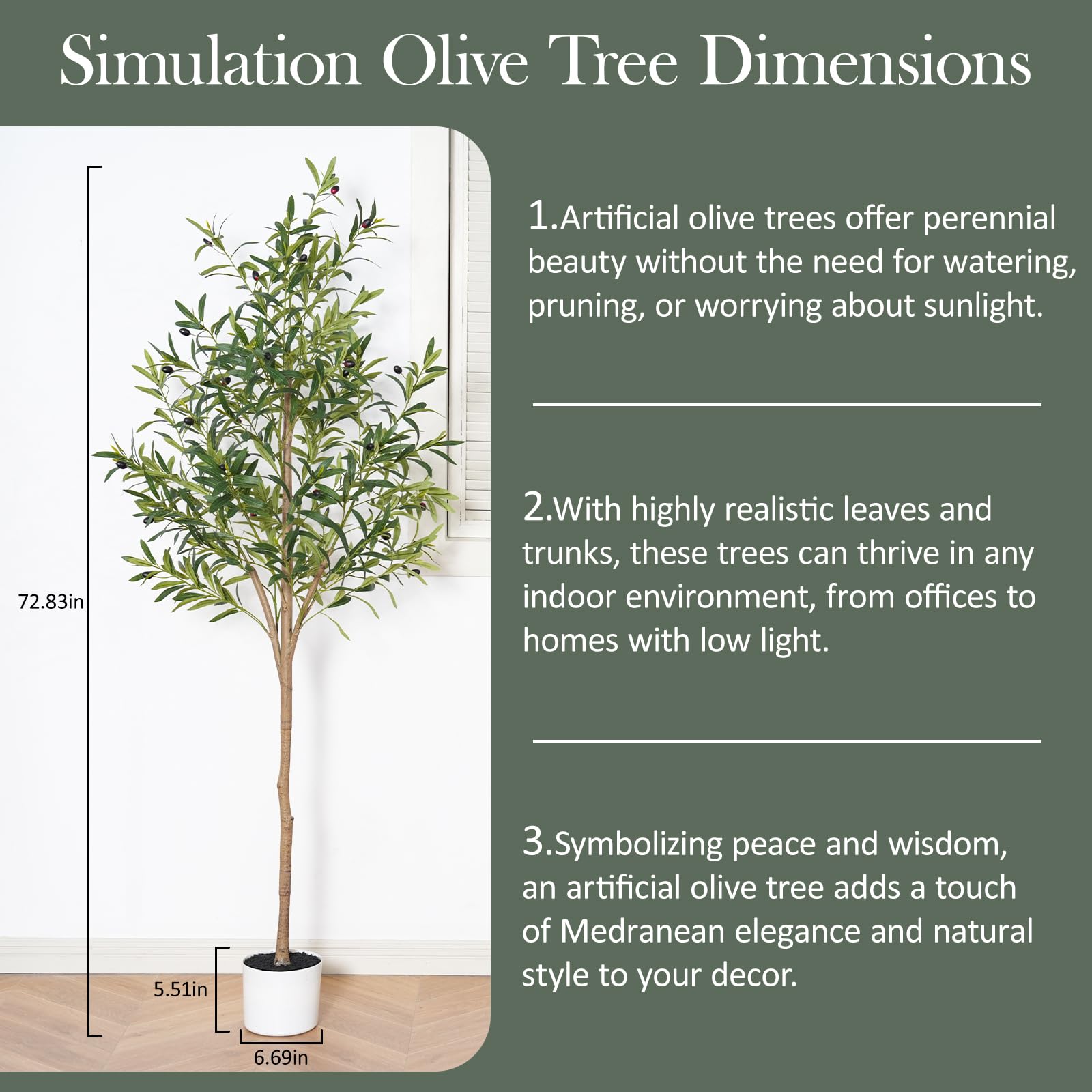 Sillaff olive tree shows plump fruits for Mediterranean-inspired decor.