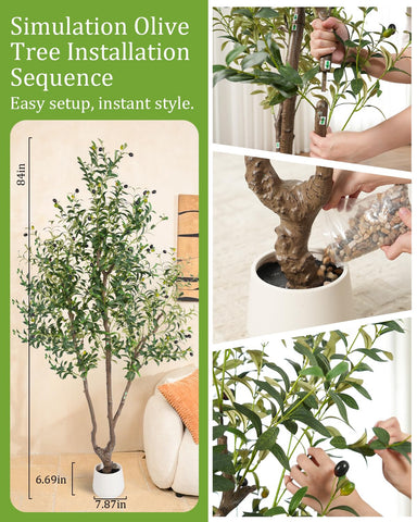 Weighted base stabilizes the Sillaff olive tree for year-round display