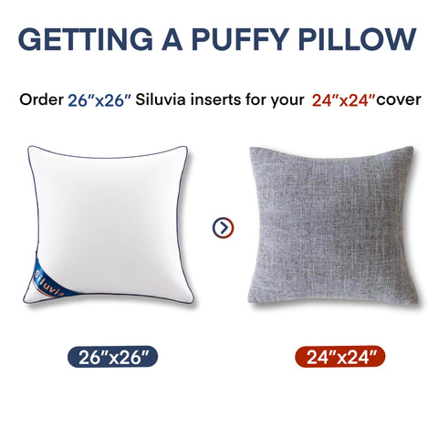 Siluvia Euro Pillows 26x26 on sofa for comfortable seating