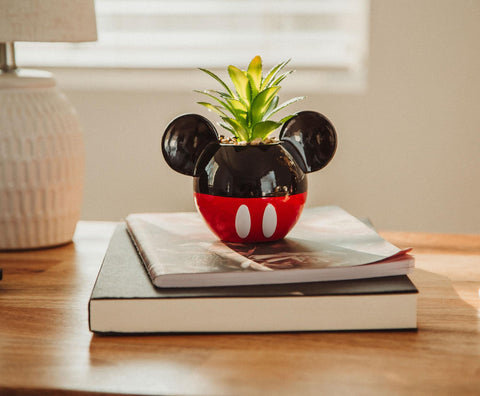 Silver Buffalo Mickey Mouse mini planter close-up highlights ears and glaze