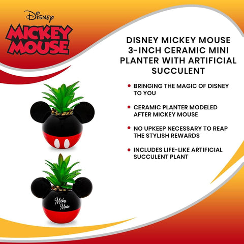 Silver Buffalo Mickey Mouse mini planter gift-ready packaging for Disney fans