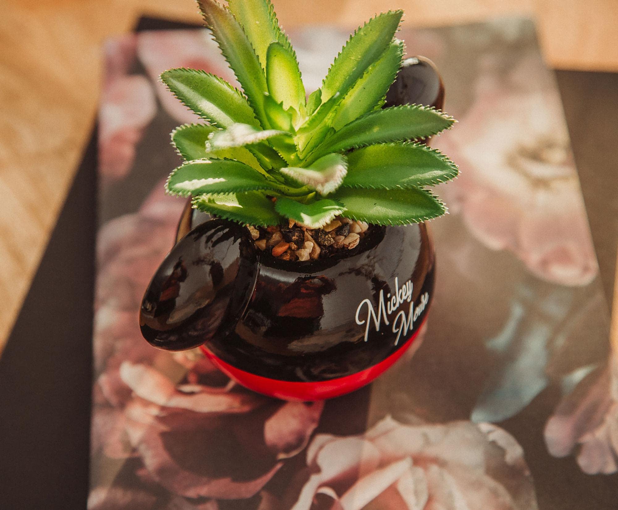 Silver Buffalo Mickey Mouse mini planter suited for home or office decor