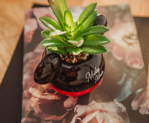 Silver Buffalo Mickey Mouse mini planter suited for home or office decor
