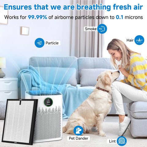 Sinnya HAP603 replacement filter is easy to install without tools.