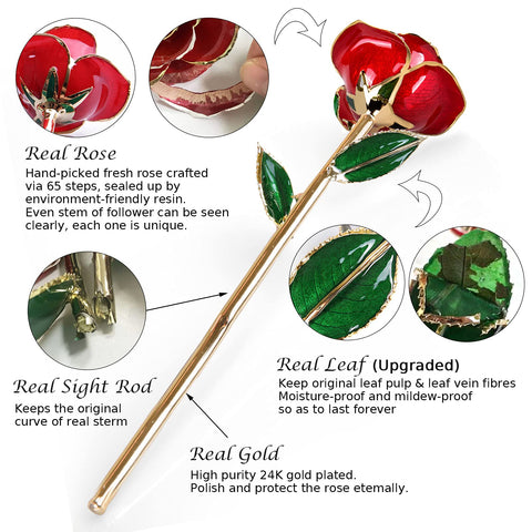 Sinvitron 24K gold-dipped rose petals close-up highlighting luxury craftsmanship