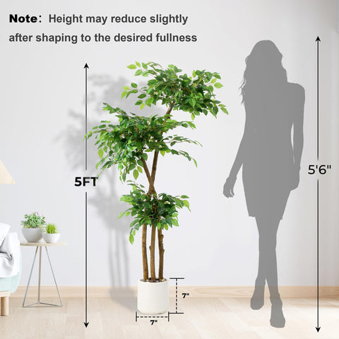 SIYEGIFT ficus tree placed in a living room for enhanced ambiance