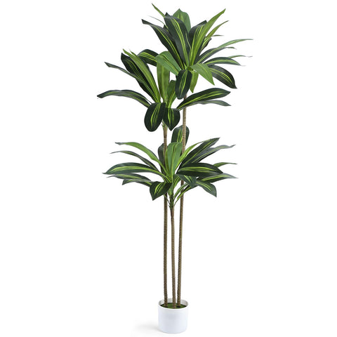 Skcoipsra 5ft artificial Dracaena tree in white planter for stylish home decor.