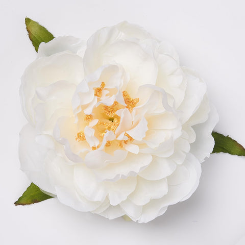 Smalldu Ivory White Peonies bouquet in vase showcases timeless elegance.