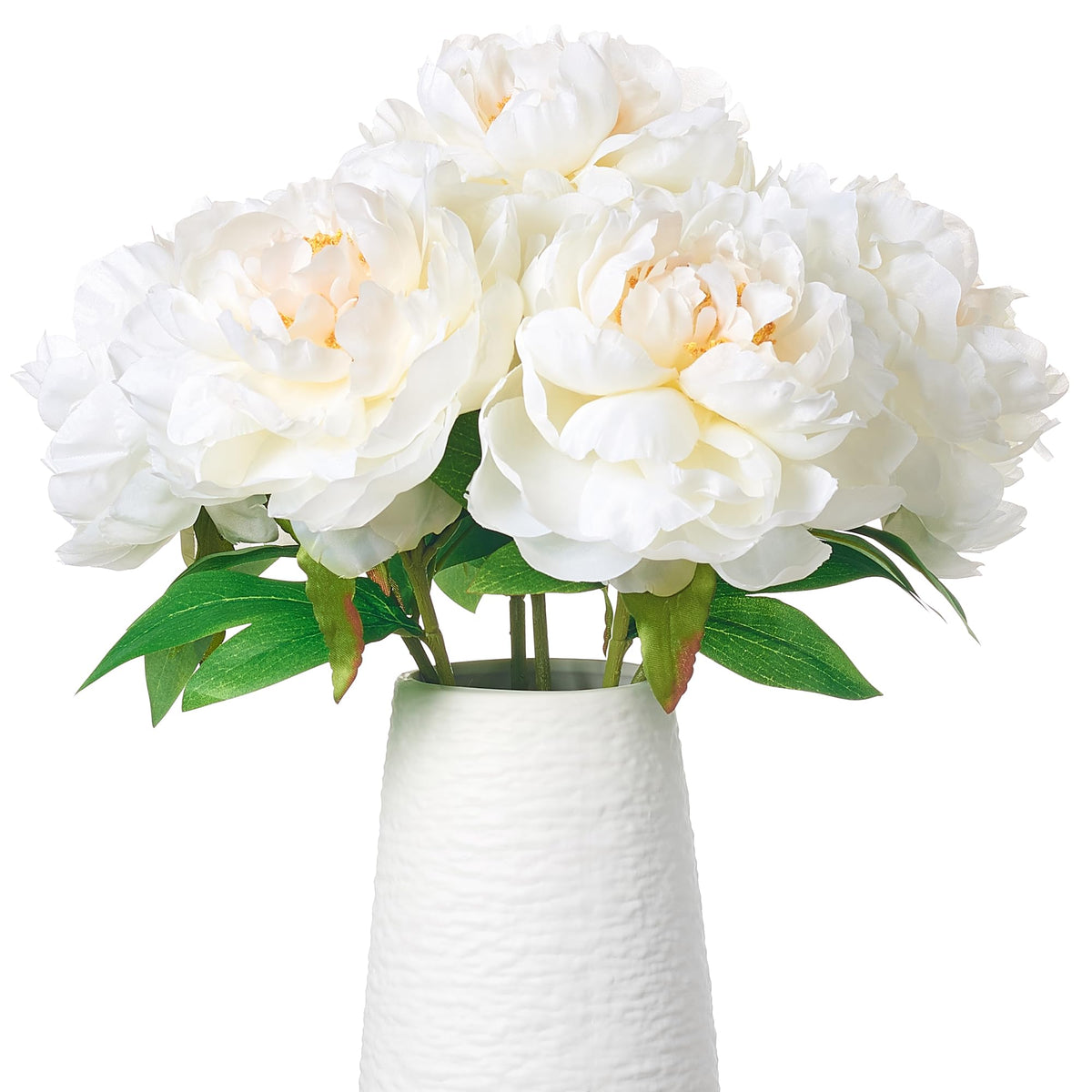 Smalldu Ivory White Peonies flower head close-up for elegant wedding decor.