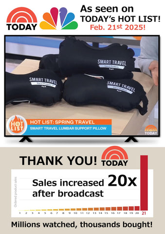 SmartTravel 3D back-support pillow contours the spine for all-day comfort.