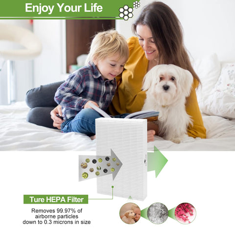 Smilyan FSC-certified paper construction supports eco-friendly replacement
