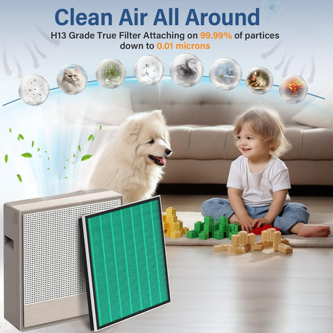 Two-set Smilyan filter pack designed for Max2 Green with activated carbon filtration.