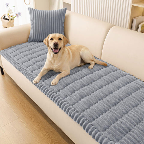 Smiry couch cover in grey protects a 3-cushion sofa from pet wear.