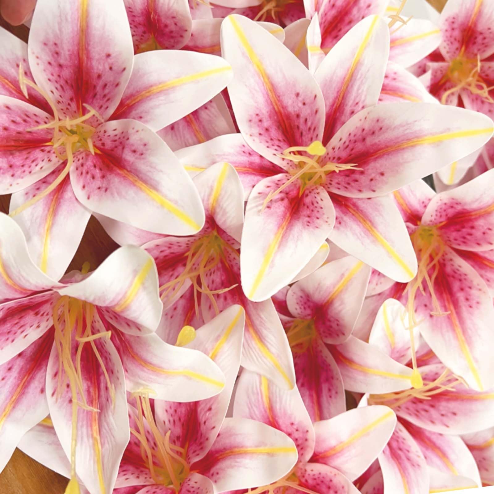 SNAIL GARDEN 24-piece lily set for versatile decorative arrangements.