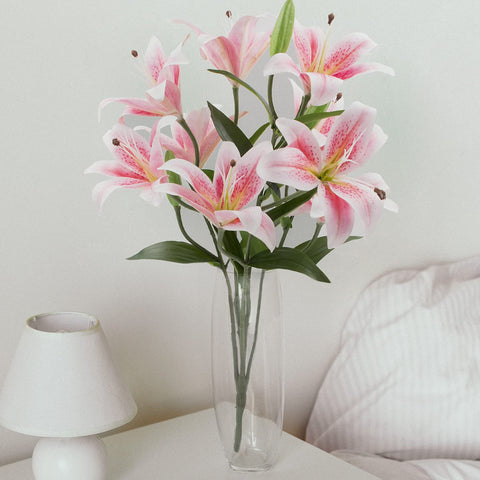 SNAIL GARDEN lilies stay vibrant with no watering, ideal for allergy-friendly decor.