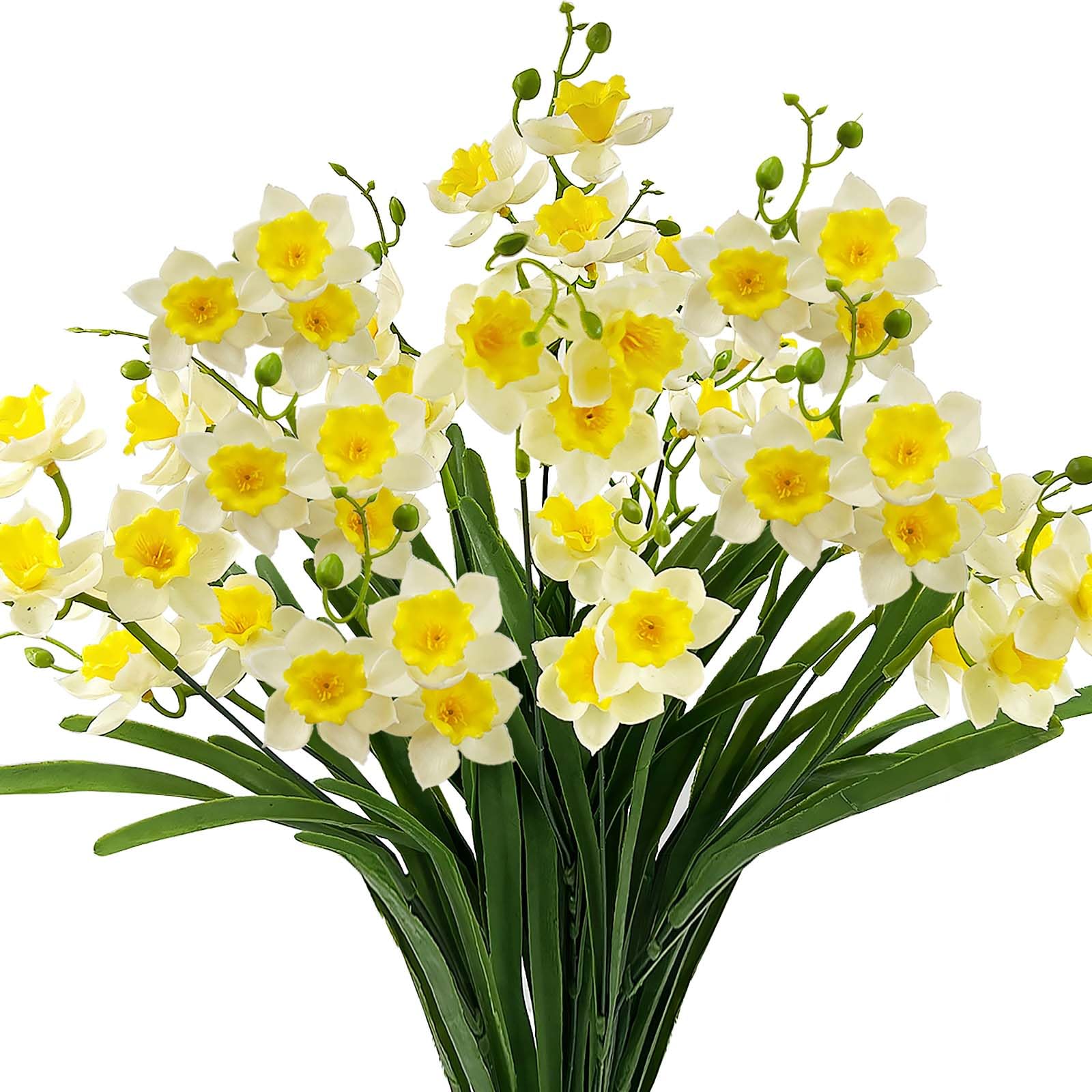 SNAIL GARDEN daffodils with 58 cm long stems create dramatic centerpieces