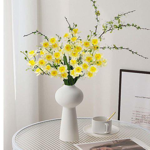 SNAIL GARDEN maintenance-free daffodils require no watering or care