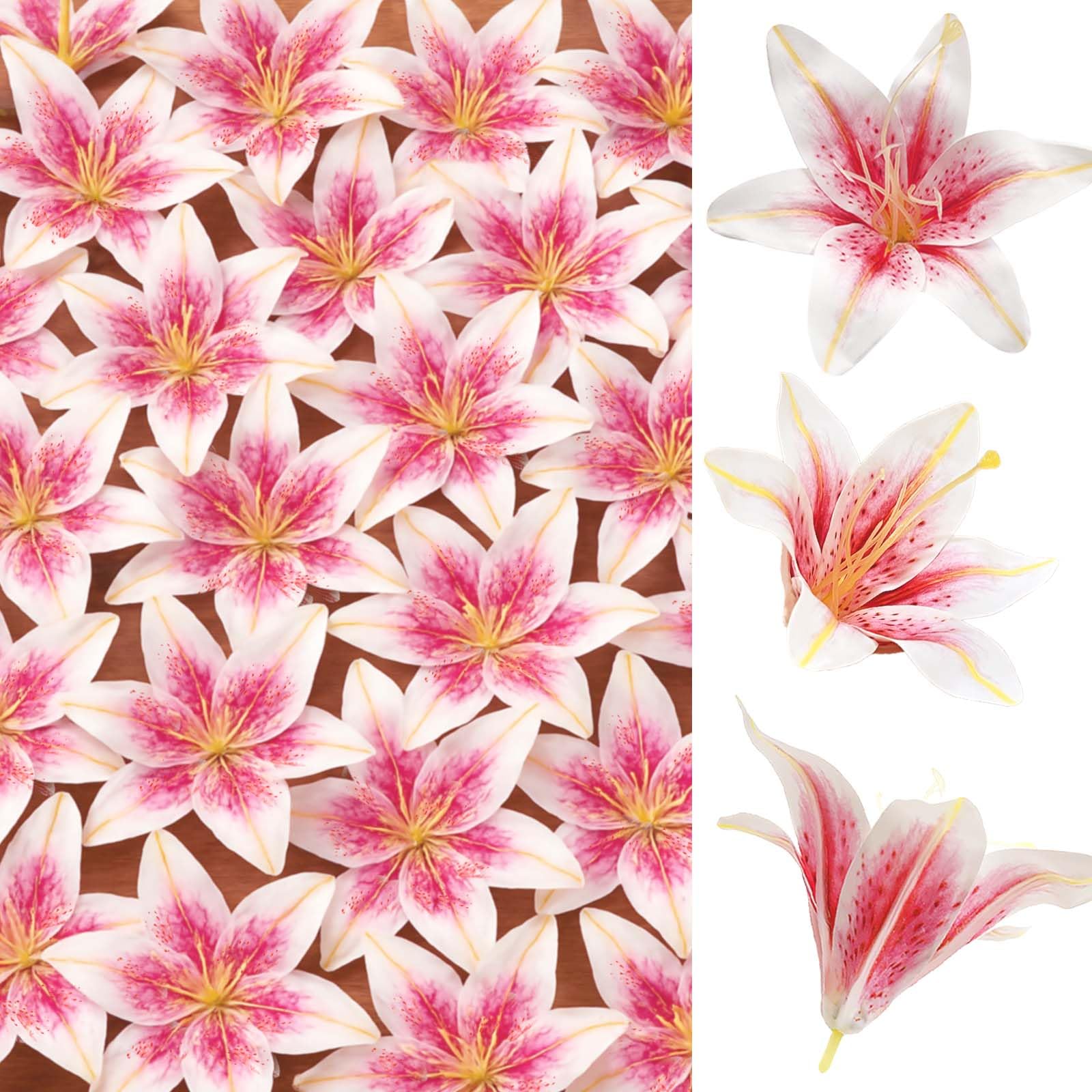 SNAIL GARDEN 5.5-inch pink lily head close-up with realistic stamens.