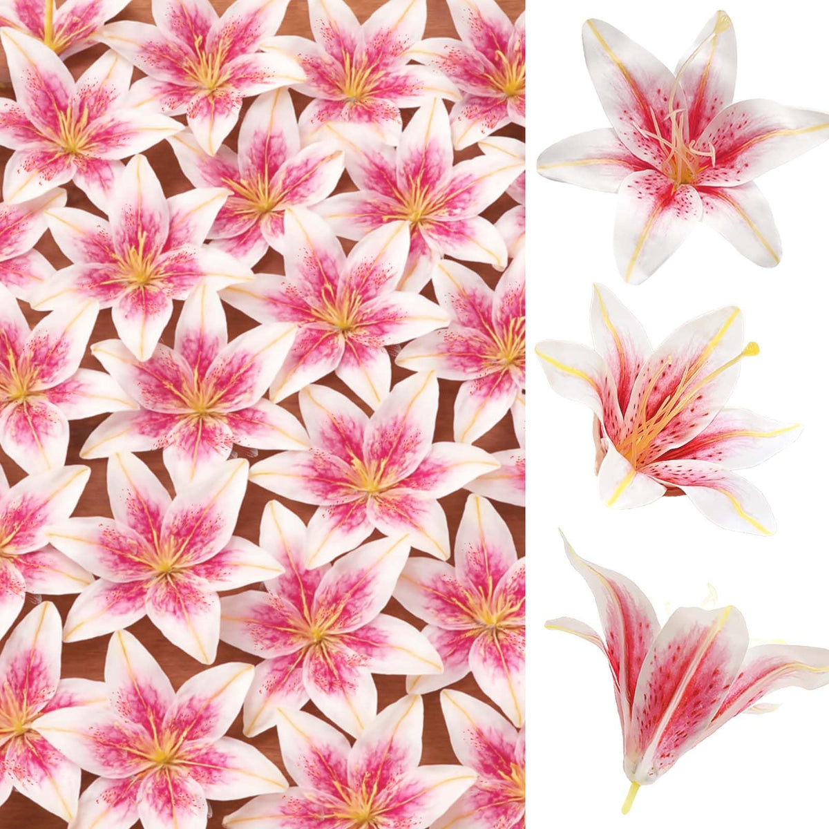 SNAIL GARDEN 5.5-inch pink lily head close-up with realistic stamens.