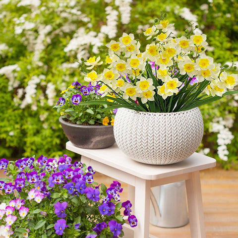 SNAIL GARDEN silicone-crafted daffodil petals and lifelike texture