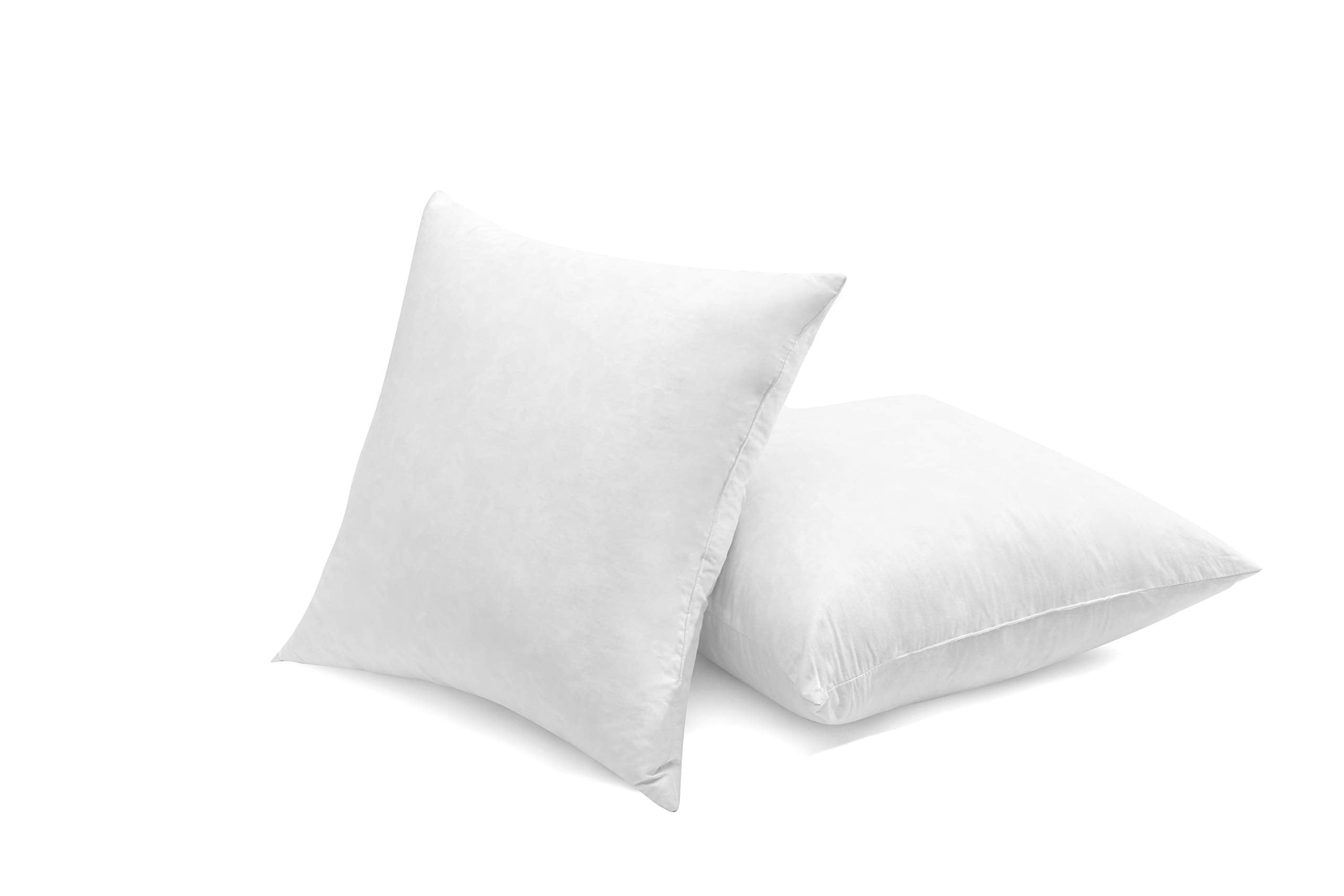 SNUG&COZY pack of 2 pillow inserts for full room decor.