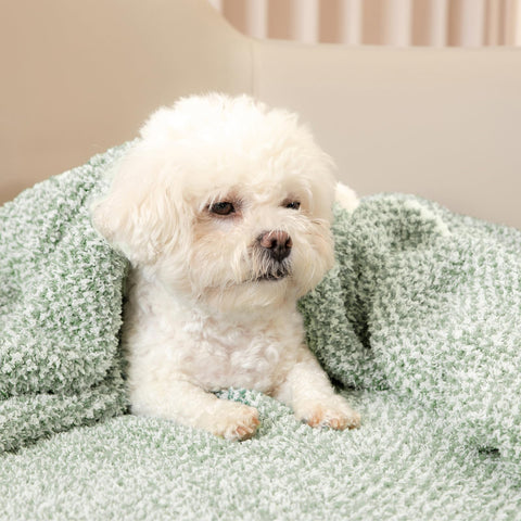 Snuggle Sac non-shedding blanket maintains a neat, tidy appearance.