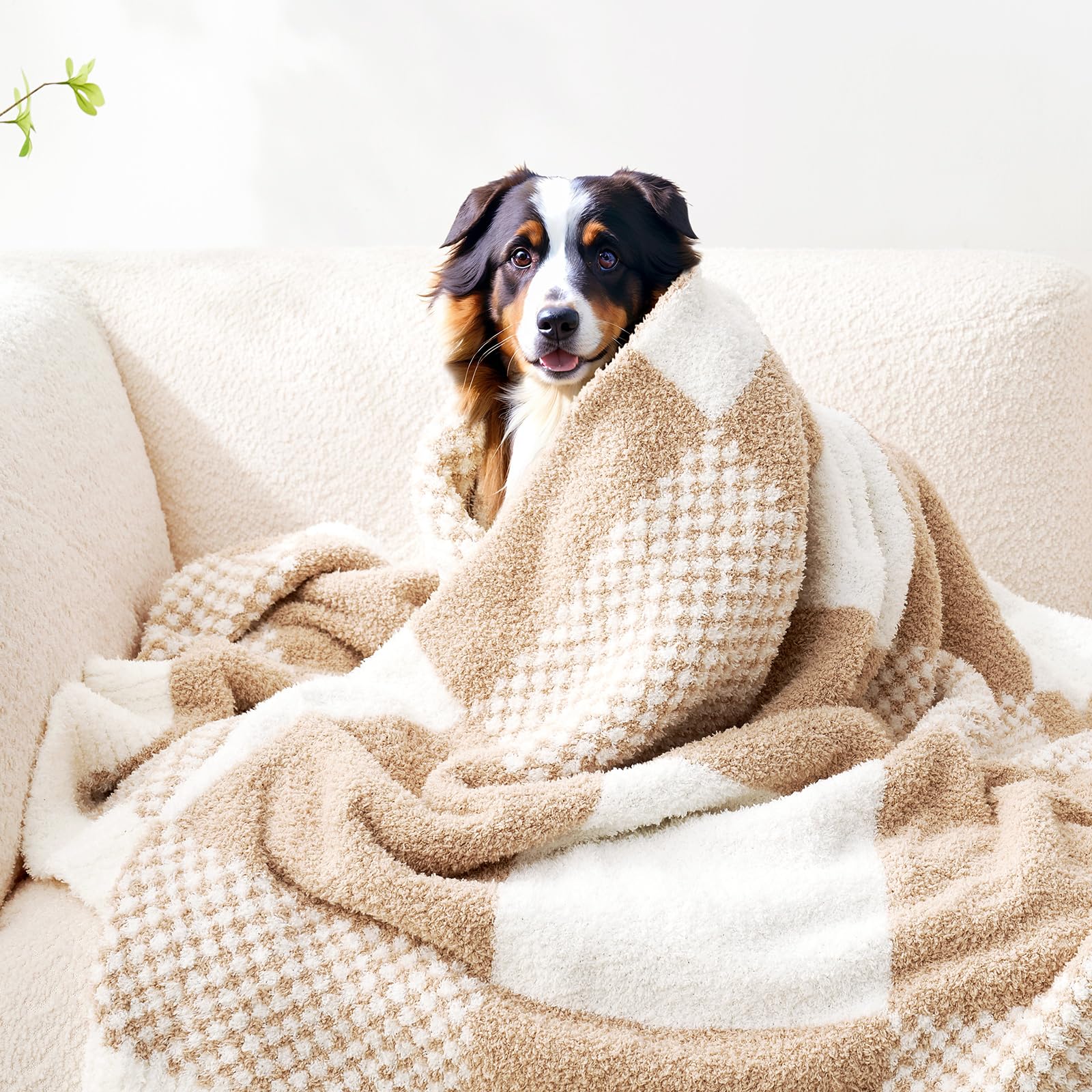 Snuggle Sac OEKO-TEX certified blanket designed for safety and comfort.