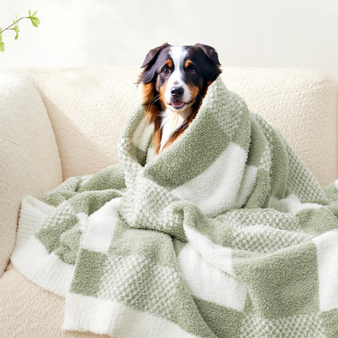 Snuggle Sac warmth and coziness for any living space.