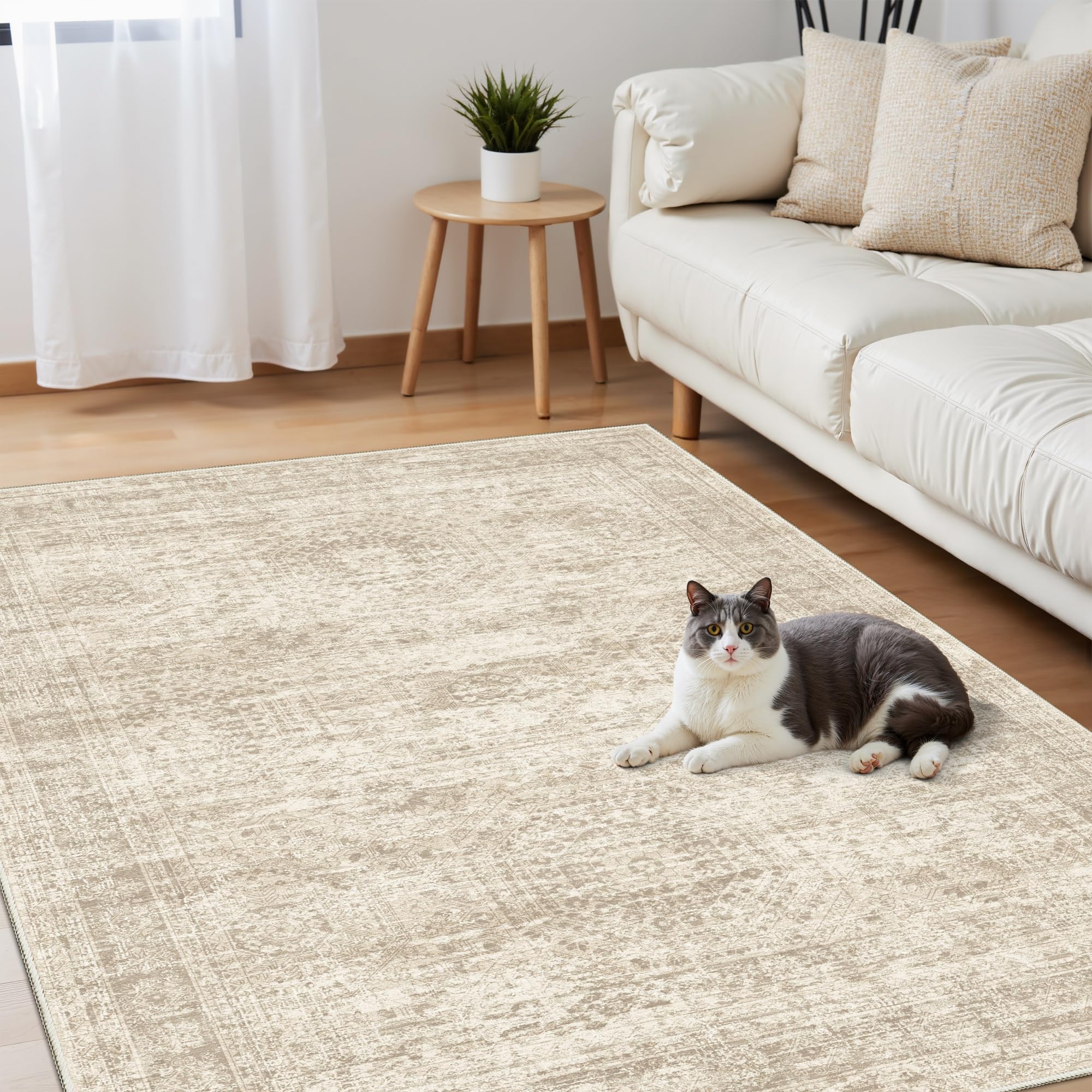 Soalmost 3x5 rug entranceway vintage style adds welcoming warmth