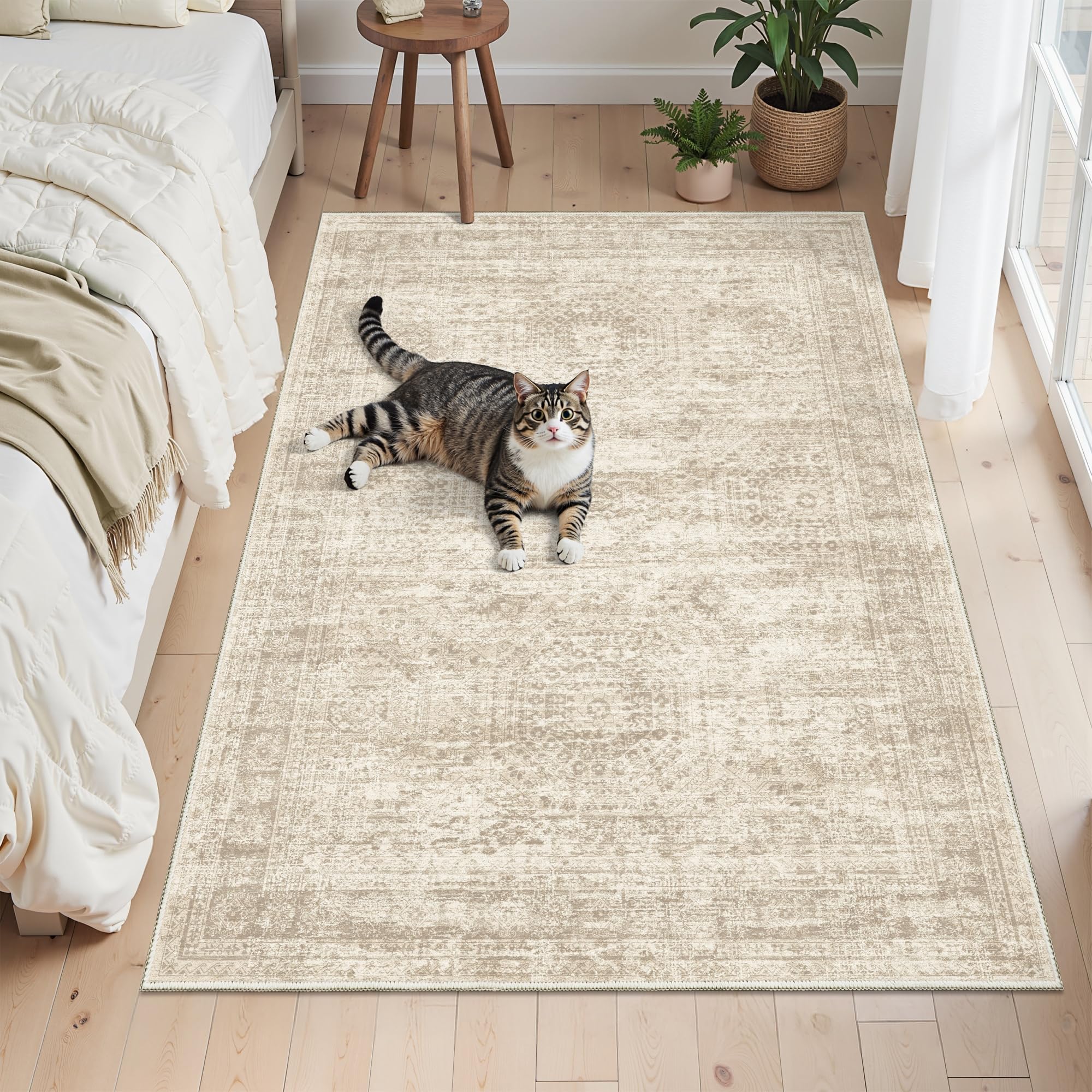 Soalmost 3x5 rug neutral colors fit many interiors