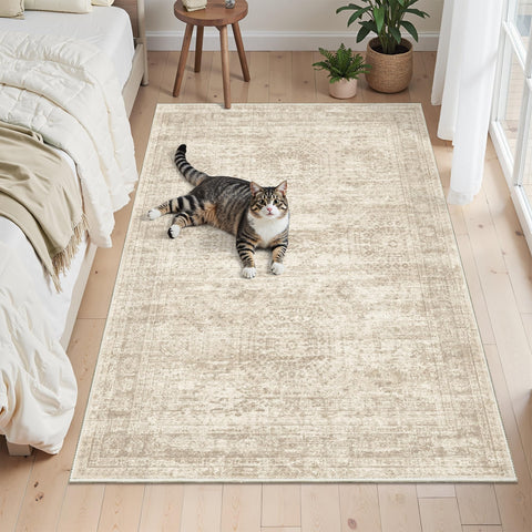 Soalmost 3x5 rug neutral colors fit many interiors