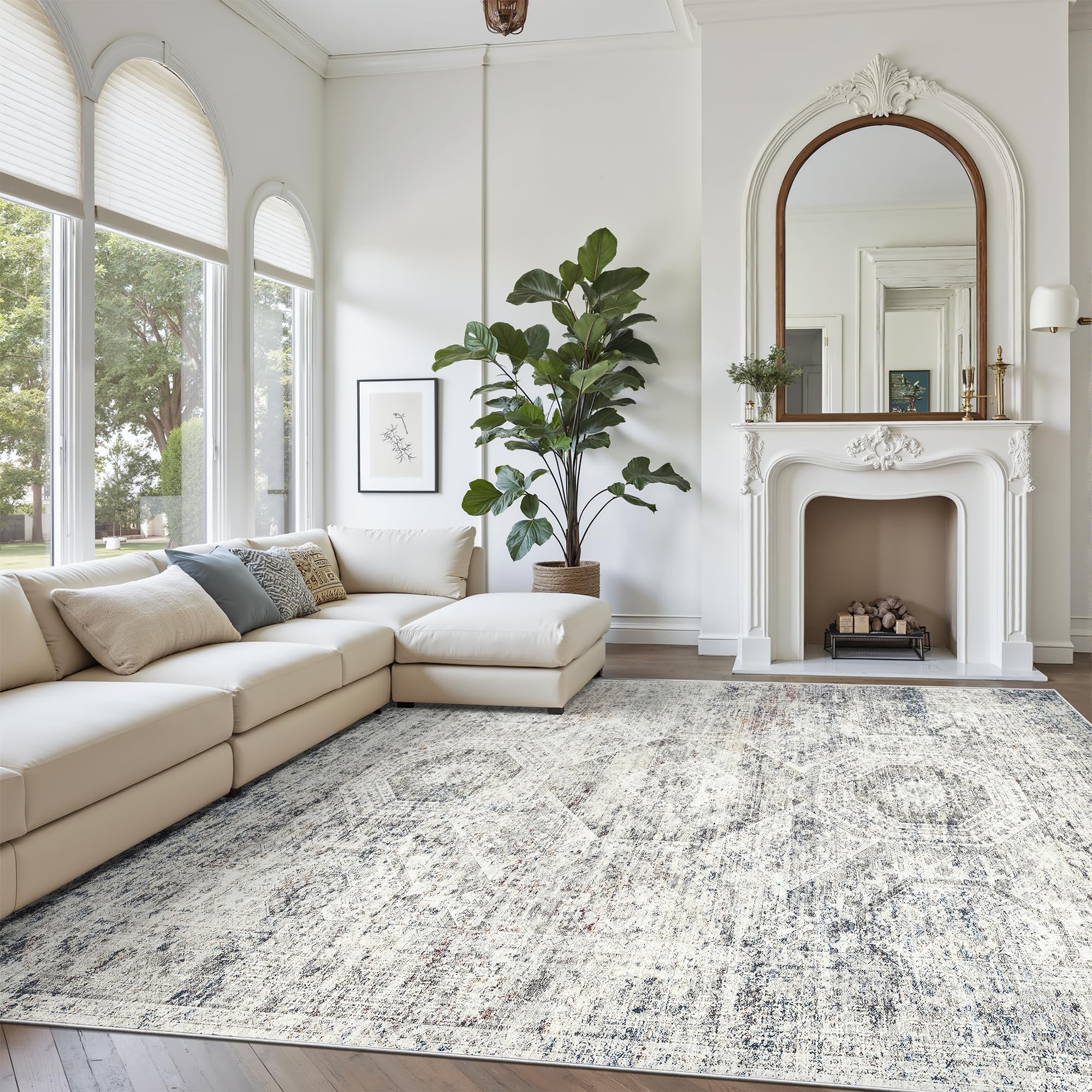 Soalmost large soft rug ideal for living rooms, adding cozy warmth to gatherings.