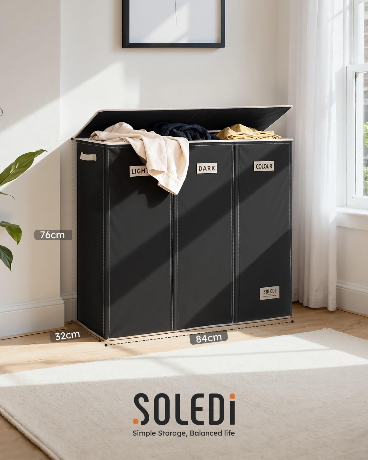 SOLEDI 200L three-section design, ideal for sorting whites, colors, and delicates.
