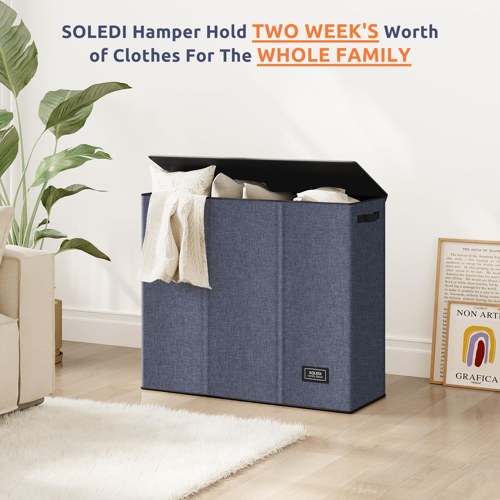 SOLEDI three-section design supports organized sorting and stable storage.