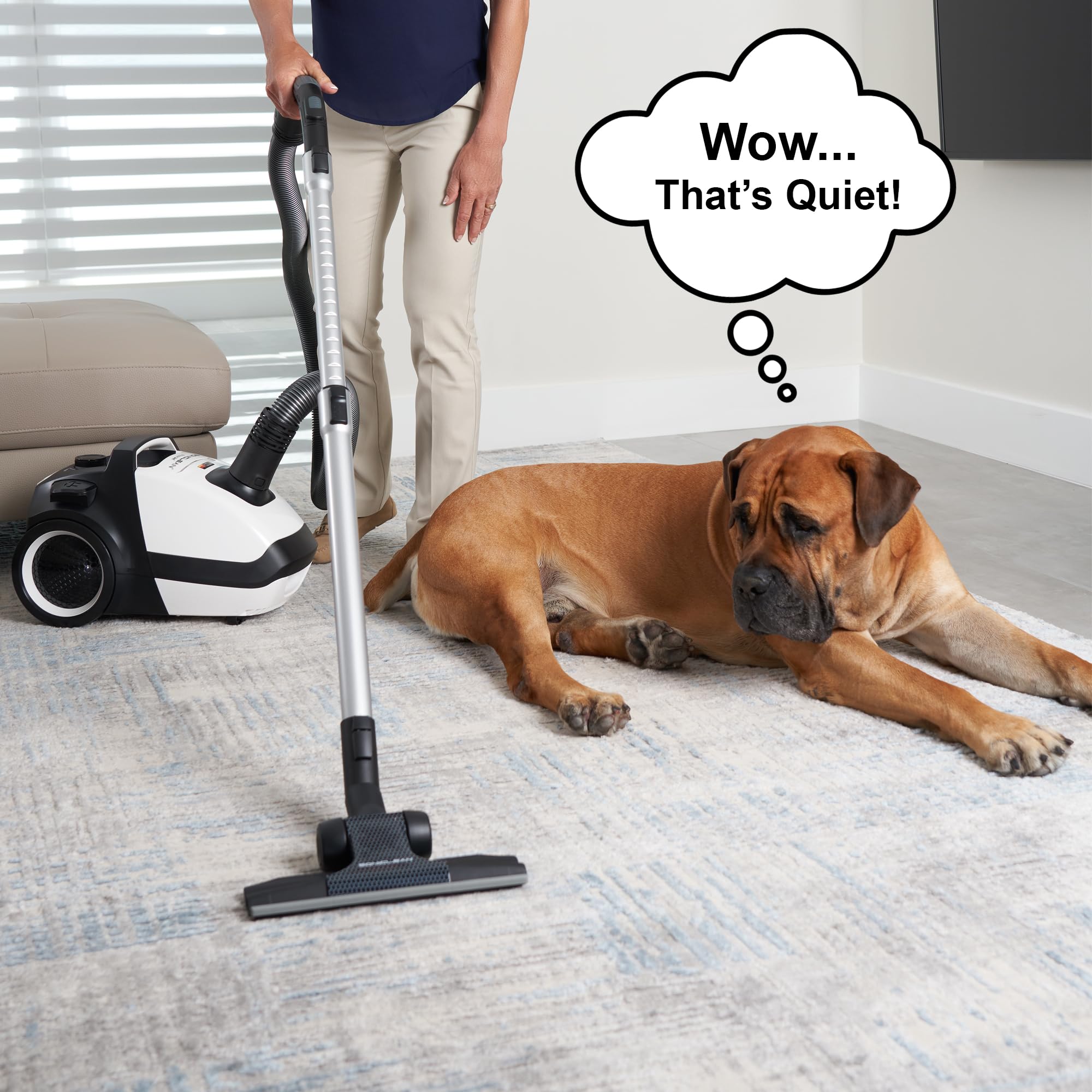 Soniclean WhisperJet C2 venturi suction delivers efficient airflow.