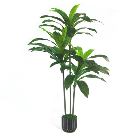 Sonvviky plant maintains appeal with zero maintenance in homes.
