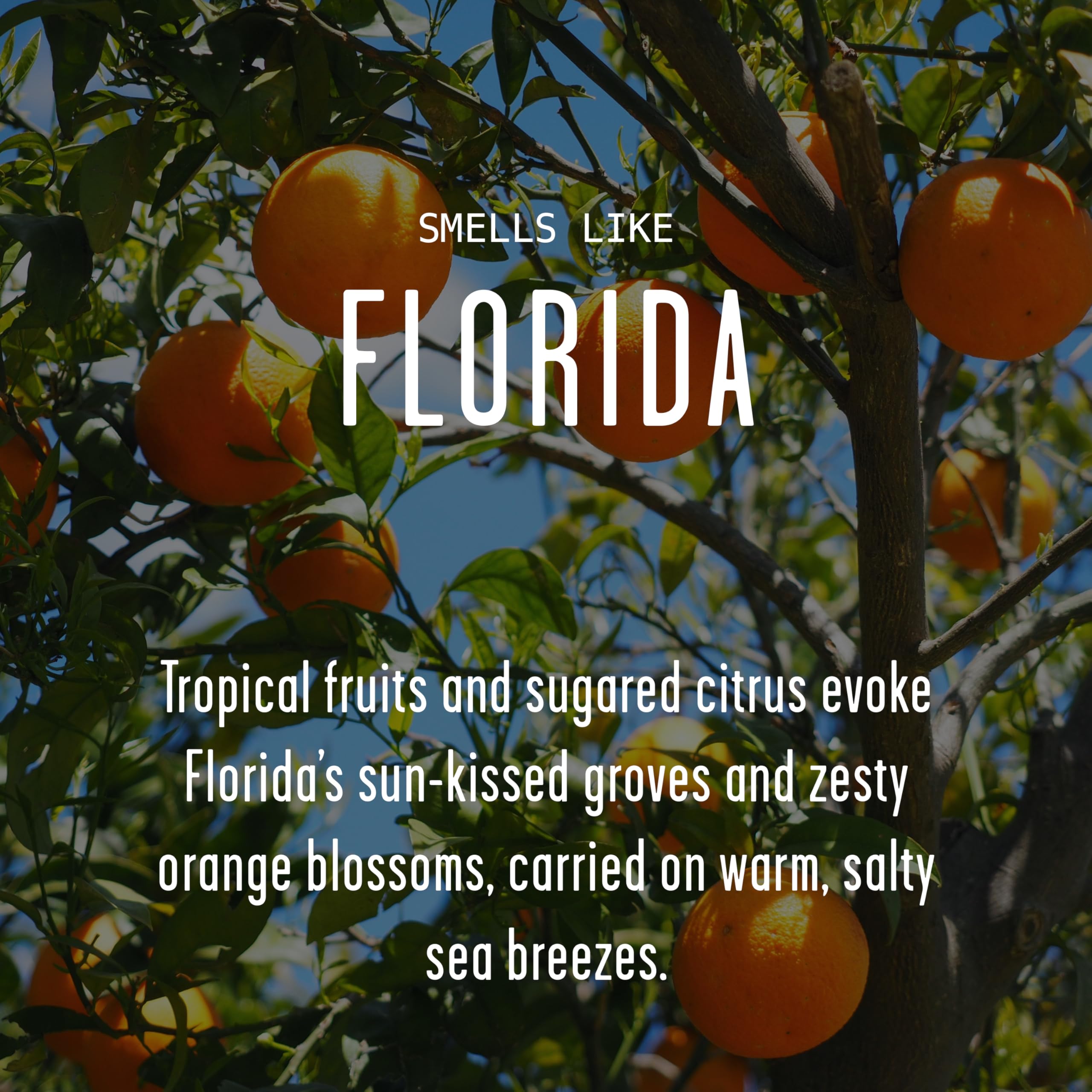 Florida candle notes of orange blossom and sea breeze create coastal warmth.