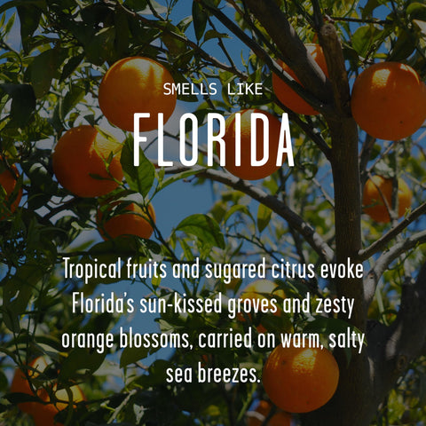 Florida candle notes of orange blossom and sea breeze create coastal warmth.