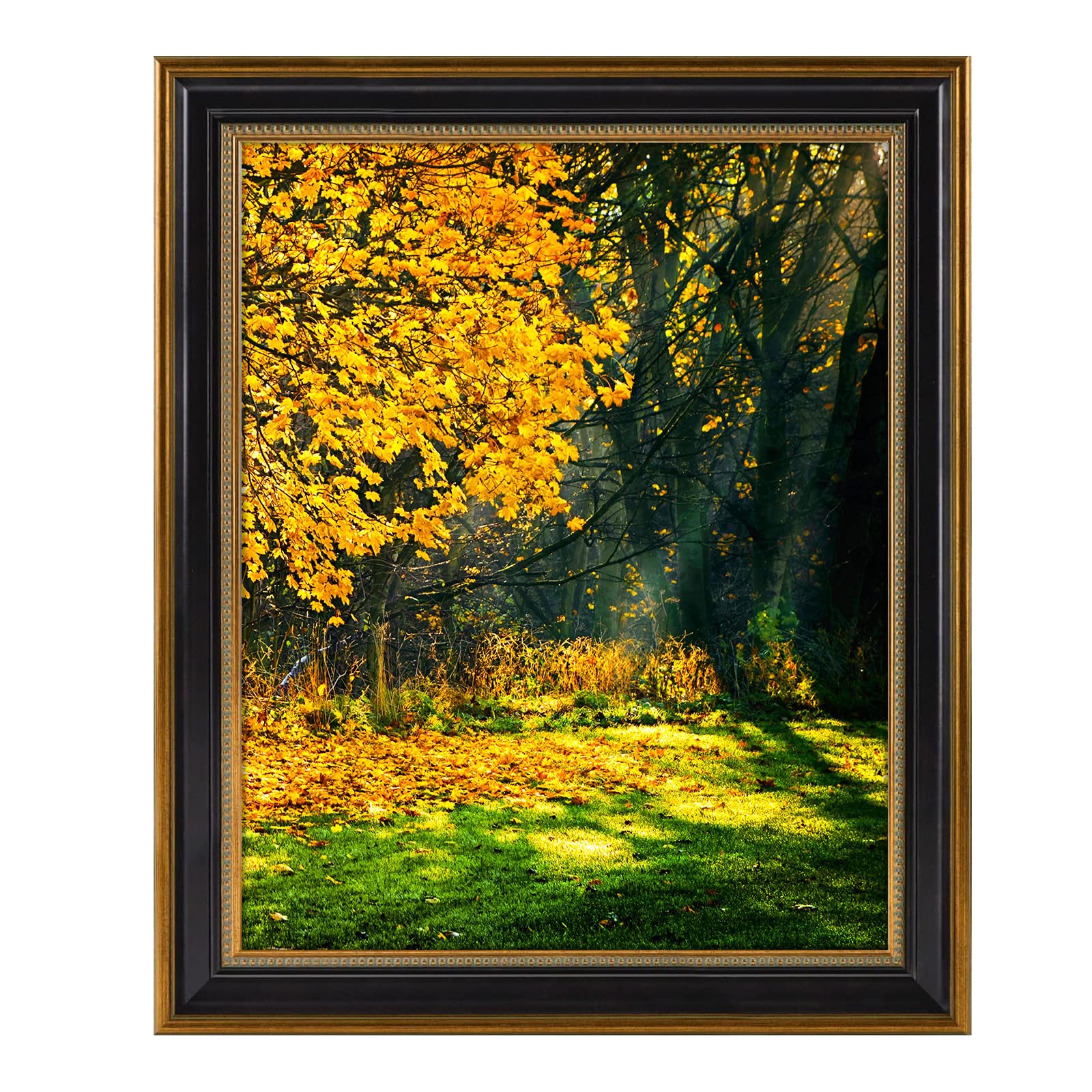 Space Art Deco 16x20 frame front view in black with ornate gold trim for elegant wall display.
