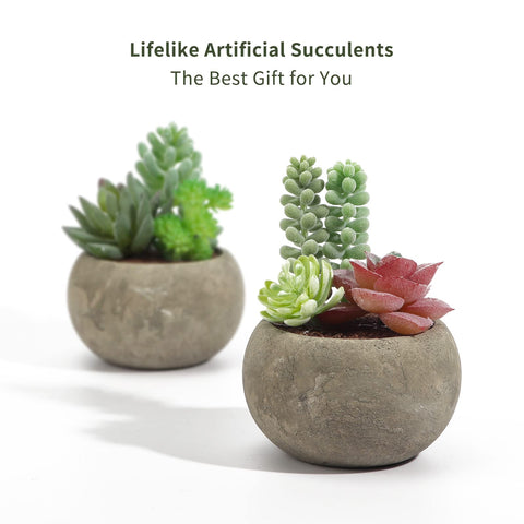 SPEPLA assorted small faux succulents for charming tabletop decor.
