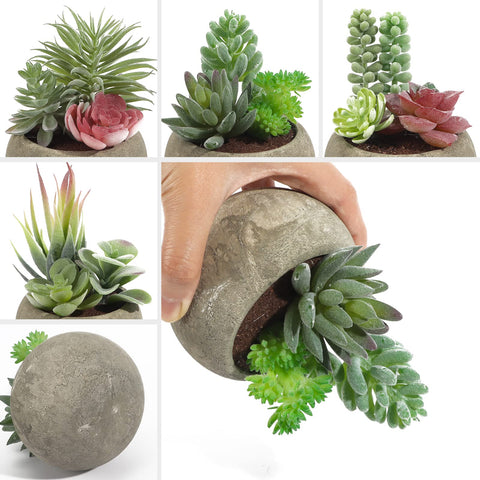 SPEPLA realistic flocked succulents with lifelike texture and touch.