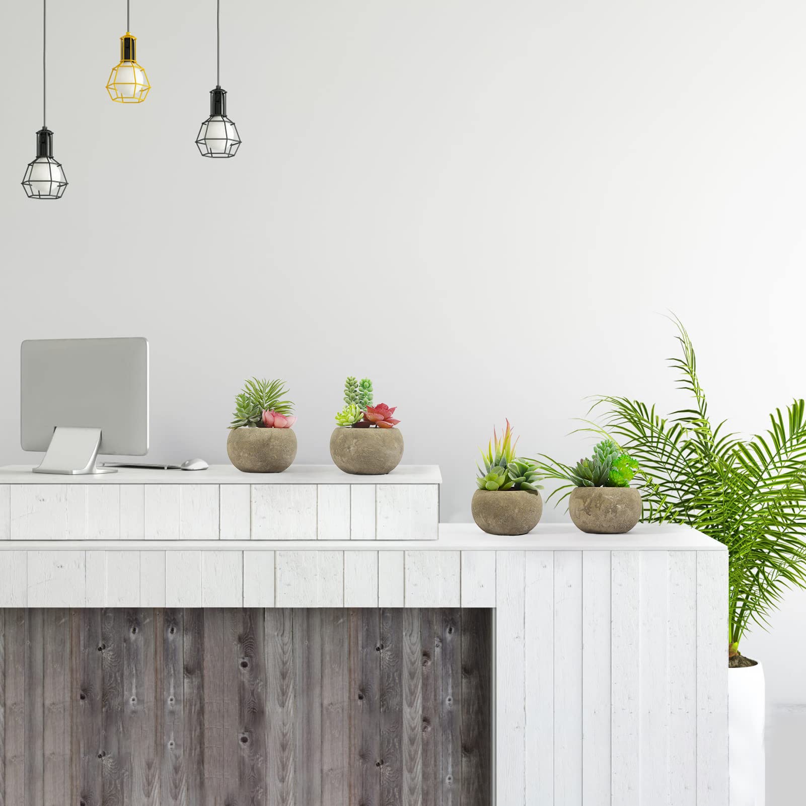 SPEPLA gift-ready artificial succulents ideal for friends and family.