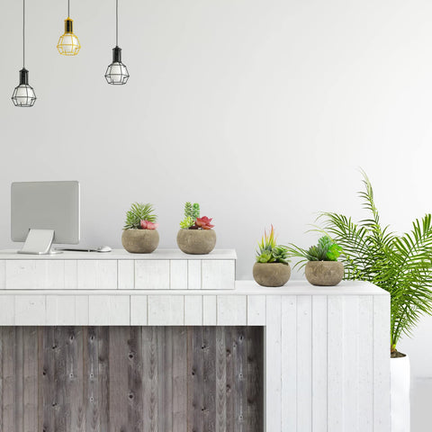 SPEPLA gift-ready artificial succulents ideal for friends and family.